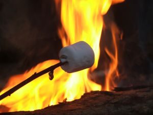 Toasted Marshmallows over a Kent Campfire